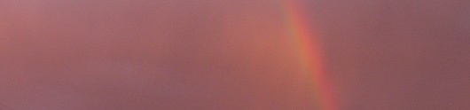 Nun auch in Farbe