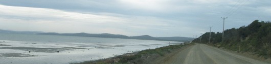 Tasmania Rush 2