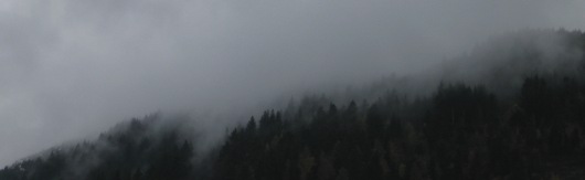 Das Gute im Schlechten