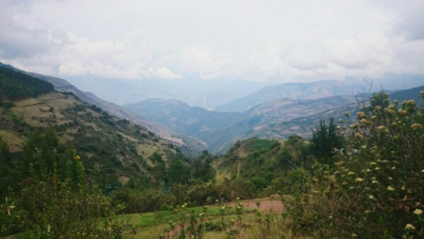 wp-1446668988612 image