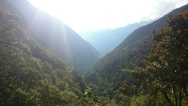 wp-1446669103089 image