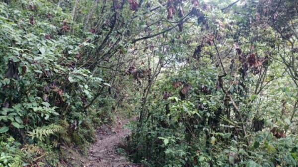 wp-1446669118397 image
