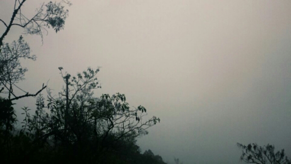 wp-1446906786606 image