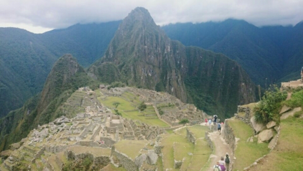 wp-1446906831348 image