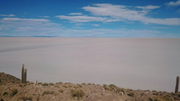 wp-1447863705314 image