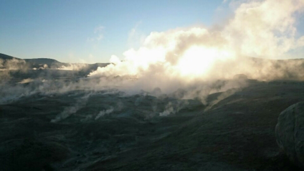 wp-1447864111538 image