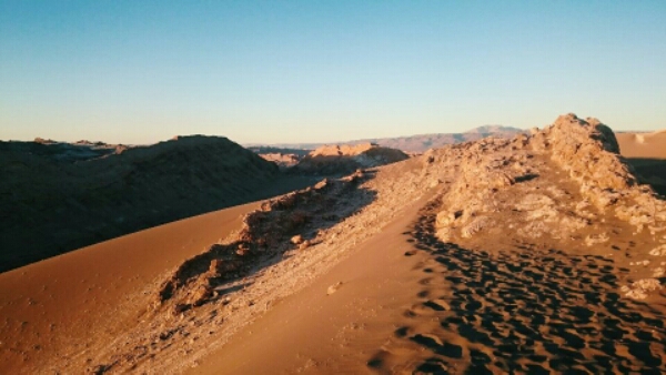 wp-1447867924615 image