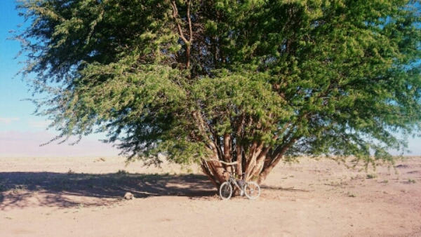 wp-1447876747472 image
