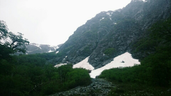 Frostiger Urwald