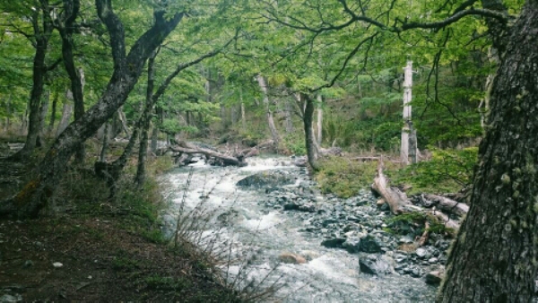 wp-1448581730095 image