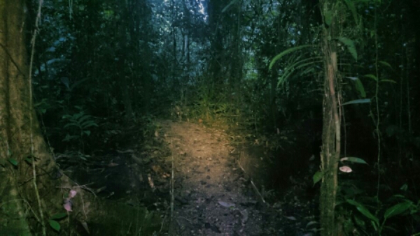 wp-1454675004182 image