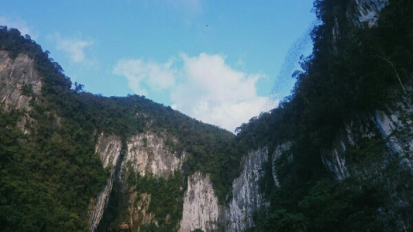 wp-1454675025353 image
