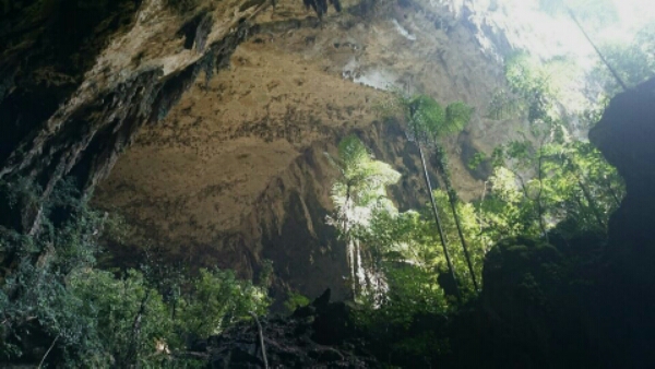 wp-1454675062756 image