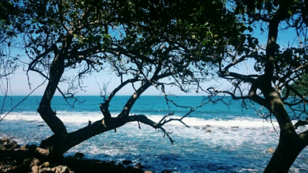wp-1455946270643 image