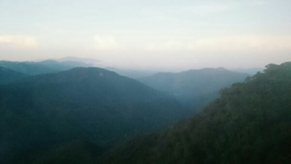 wp-1455946779028 image