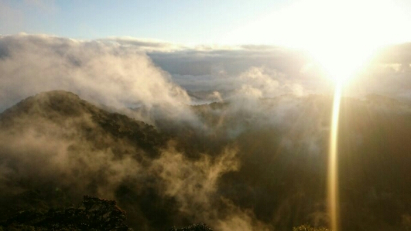 wp-1455946811226 image