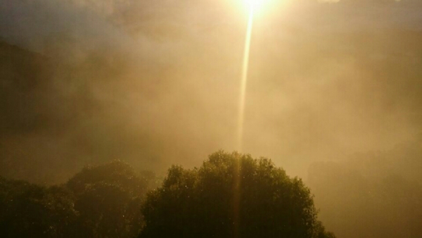 wp-1455946819952 image