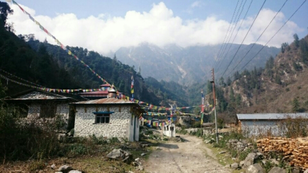 wp-1457360962251 image